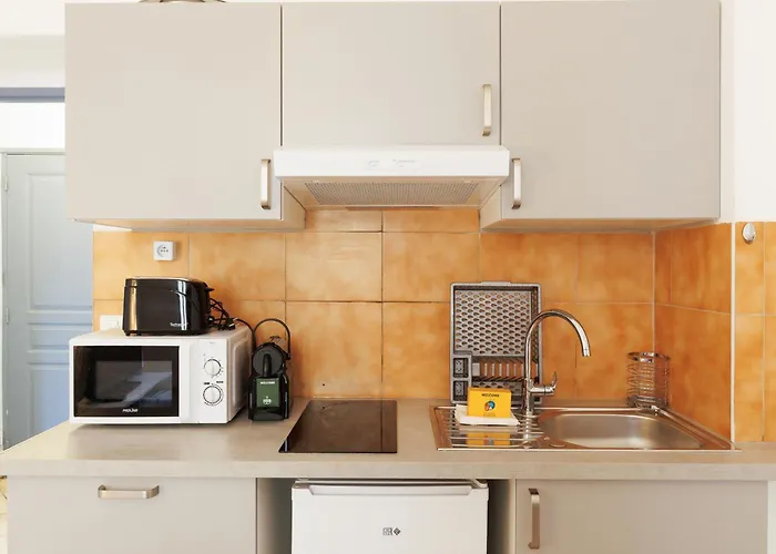 Mouette Yourhosthelper Cannes